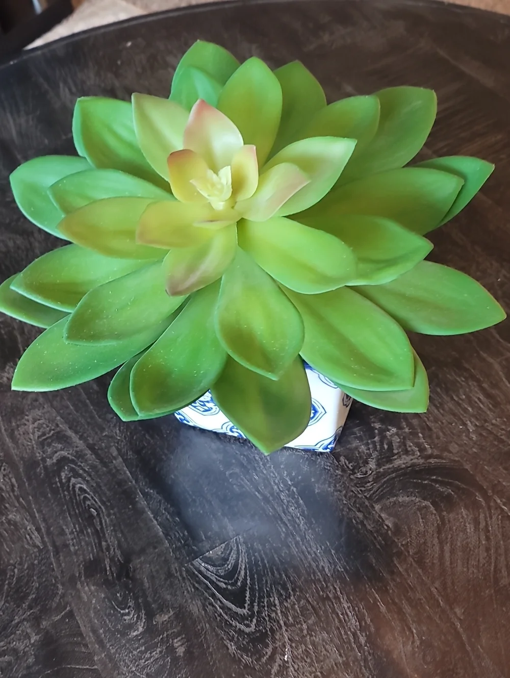 Artificial Succulent Plant in Blue and White Ceramic Pot - Unbranded